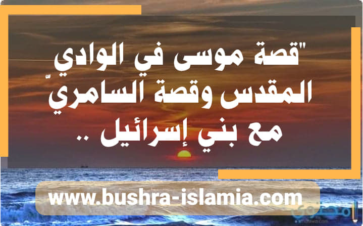 الاســـم:	95573270_2721235224669941_2238681609173729280_n.jpg
المشاهدات: 807
الحجـــم:	56.5 كيلوبايت