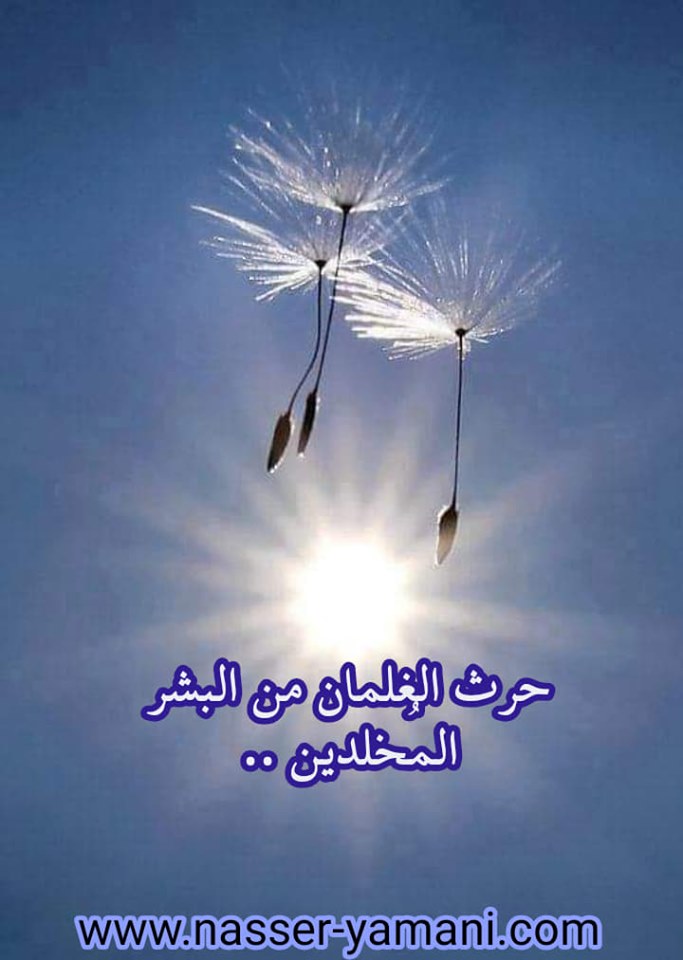 الاســـم:	92472949_4167249976622222_4208265027418849280_n.jpg
المشاهدات: 798
الحجـــم:	74.2 كيلوبايت