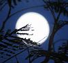 اضغط على الصورة لعرض أكبر. 

الإسم:	A735A39E-F50E-4F77-B67C-D5FF9D690E6A.jpg 
مشاهدات:	2395 
الحجم:	11.2 كيلوبايت 
الهوية:	6661